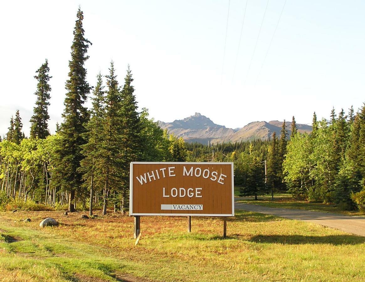 White Moose Lodge Healy Eksteriør bilde
