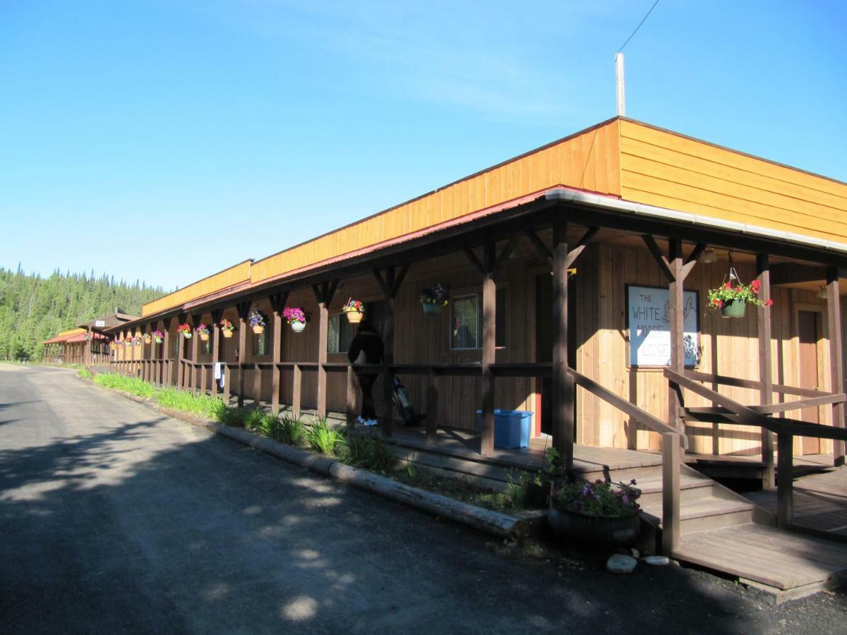 White Moose Lodge Healy Eksteriør bilde