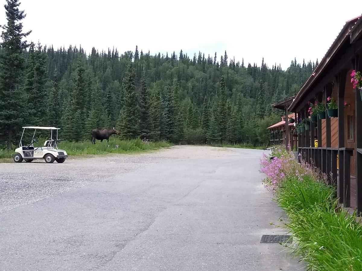 White Moose Lodge Healy Eksteriør bilde